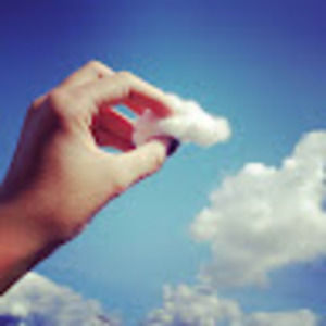 Meet your Posher, Collin